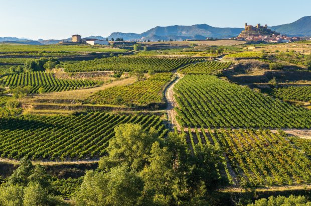 San Vicente de la Sonsierra Rioja Spanien © NoraDoa-fotolia.com