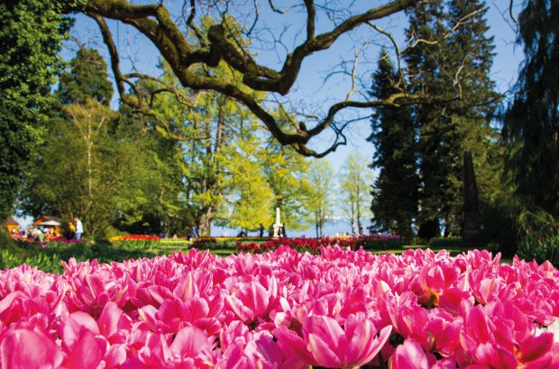 Morges Genfersee Waadt Schweiz © Michal Ludwiczak - stock.adobe.com