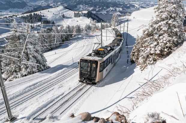 Die Bilder können von der RIGI BAHNEN AG und ihren Partner uneingeschränkt für die Kommunikation im Zusammenhang mit der Rigi verwendet werden. Angabe des Copyrights wo möglich. © Michi Captures