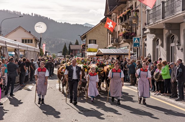 Alpabzug vom Schwarzsee bis Plaffeien Fribourg. © Switzerland Tourism/Jan Geerk