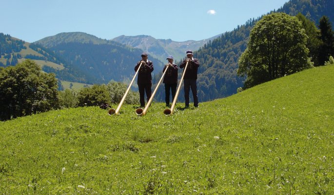 Schweiz © Mario Henrich-fotolia.com