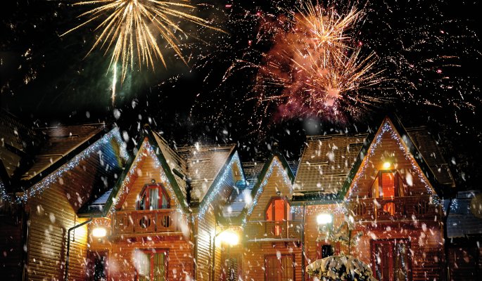 Silvester © byrdyak - stock.adobe.com