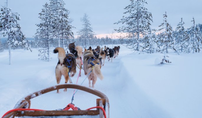 Lappland Finnland © Nejron Photo - stock.adobe.com