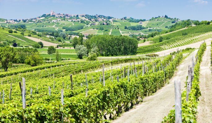 Asti Piemont Italien © Richard Semik - stock.adobe.com