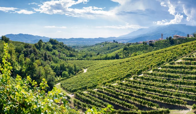 Valdobbiadene Venetien Treviso Italien © Stillkost - stock.adobe.com